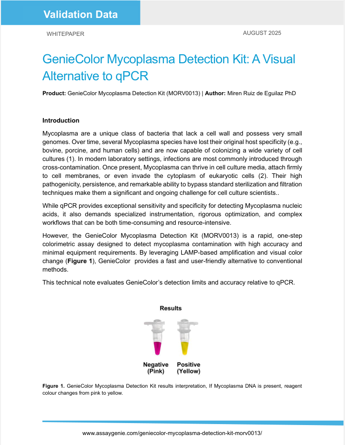 GenieColor Mycoplasma Detection Kit: A Visual Alternative to qPCR