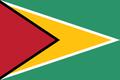 Guyana Flag