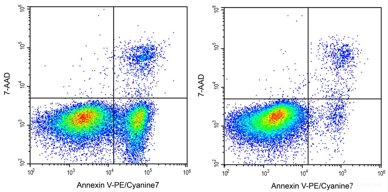 Annexin V-PE/Cyanine7/7-AAD Apoptosis Kit (AKES043) | Assay Genie