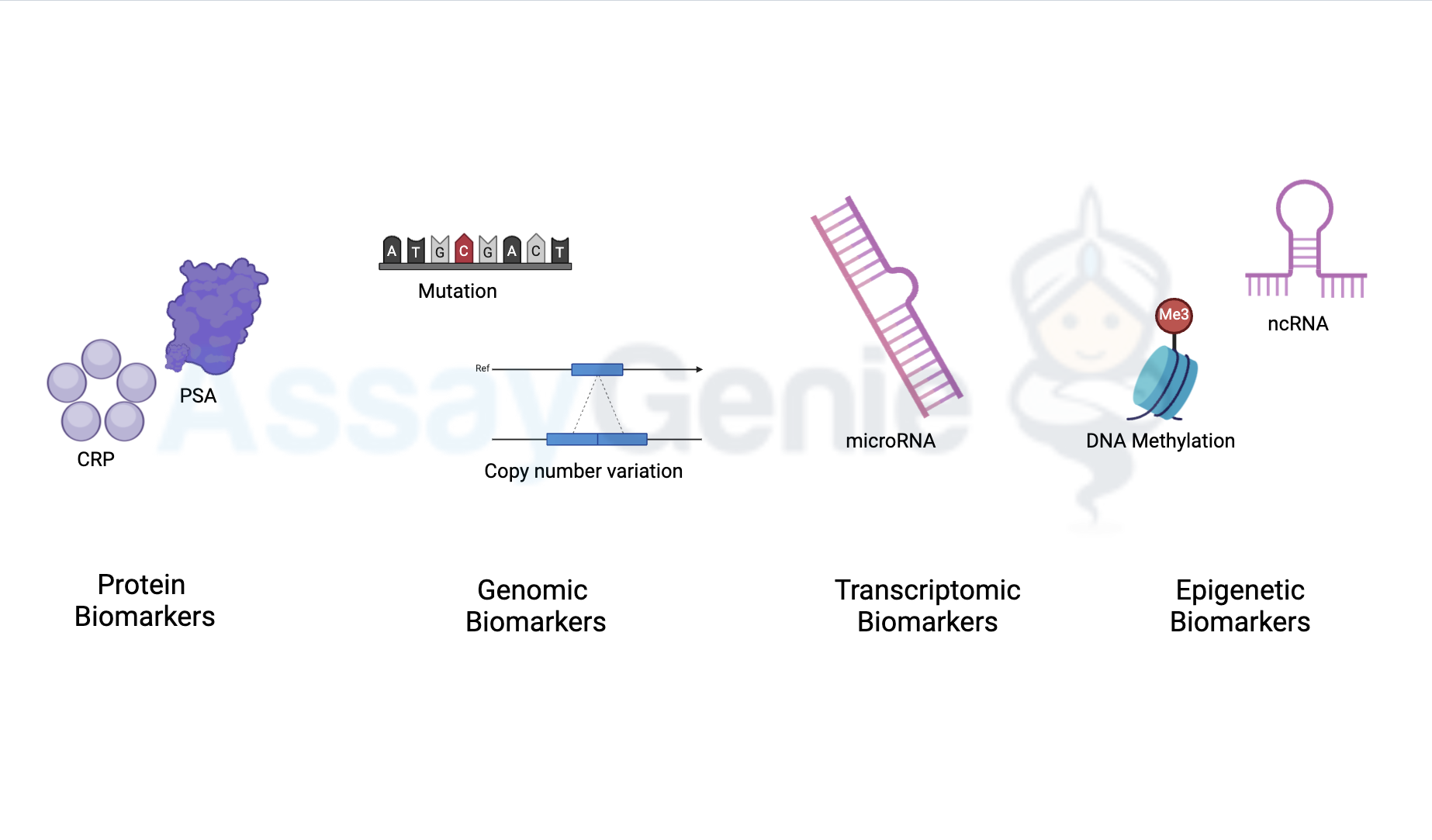 Biomarker Testing: Advancements, Applications, and Future Directions