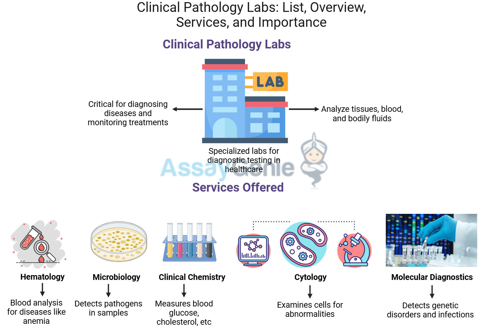 Clinical Pathology Labs List: Overview, Services, and Importance